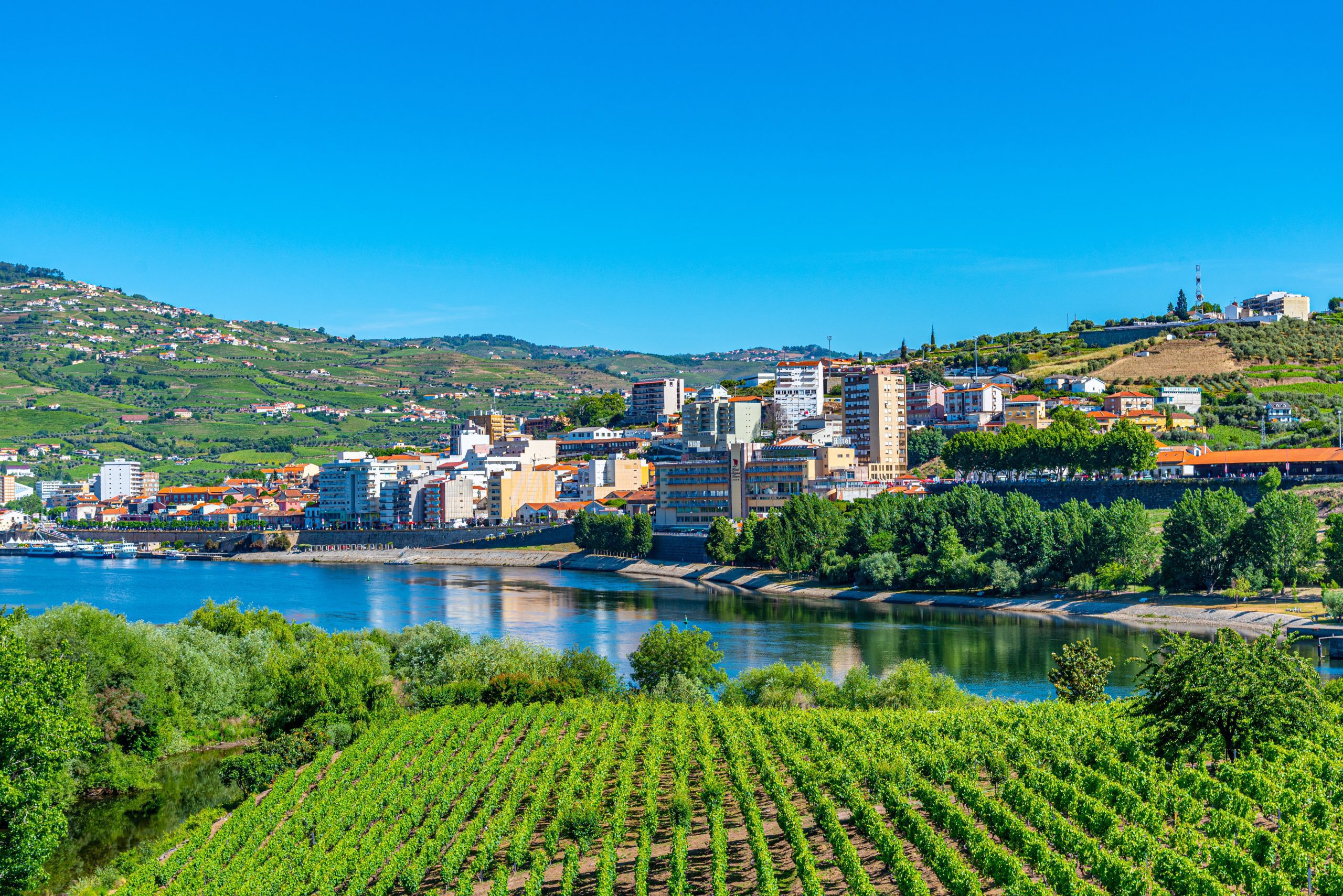 Croisière fluviale sur le Douro