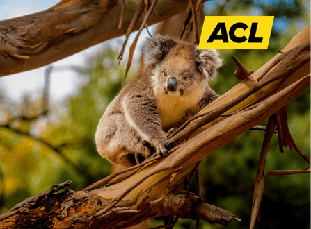 L’Australie légendaire