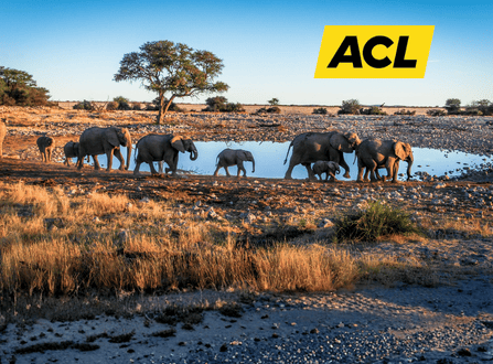 Namibia – Eine Reise in die Unendlichkeit