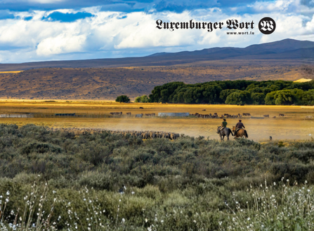 Abenteuer Argentinien